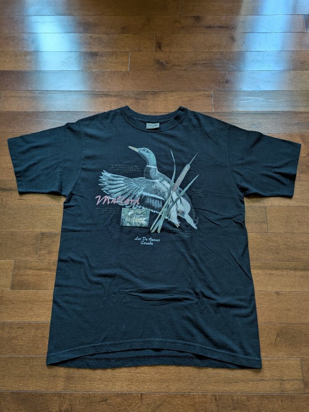 ('80s) MALLARD